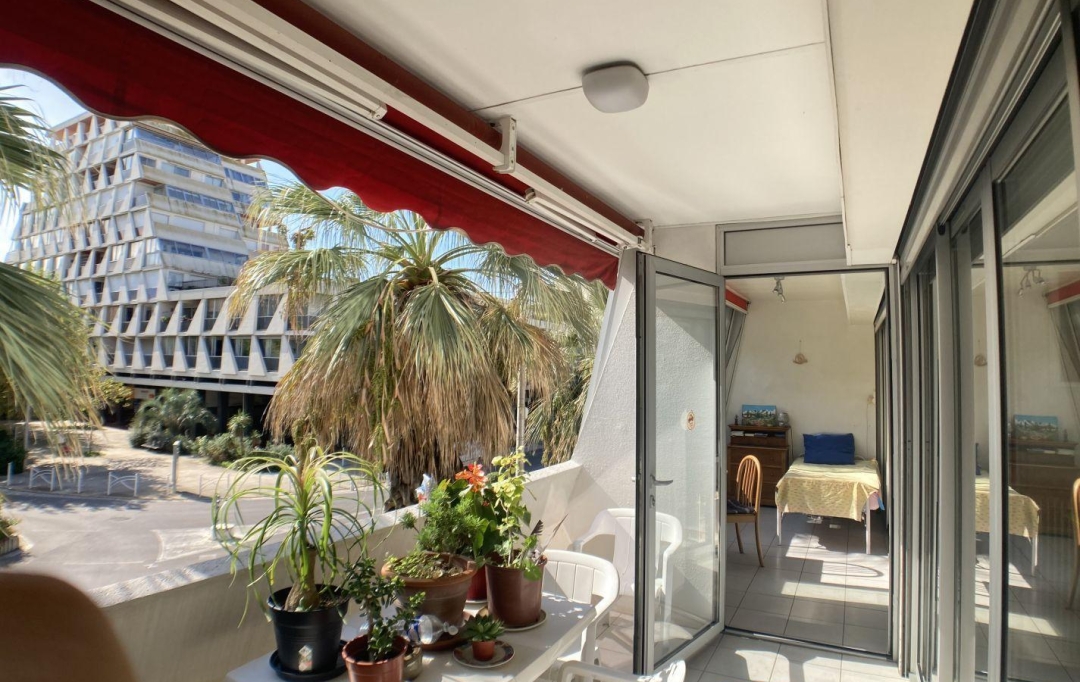 Annonces LOCATION PALAVAS : Appartement | LA GRANDE-MOTTE (34280) | 50 m2 | 315 000 € 