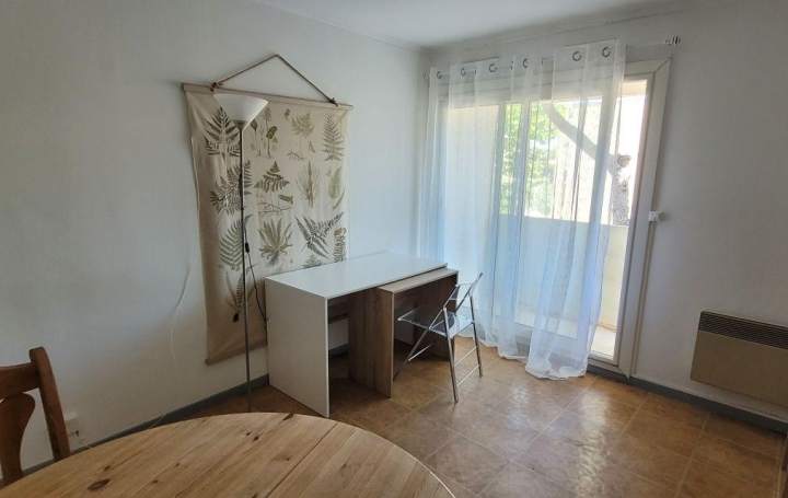  Annonces LOCATION PALAVAS Apartment | MONTPELLIER (34000) | 31 m2 | 594 € 
